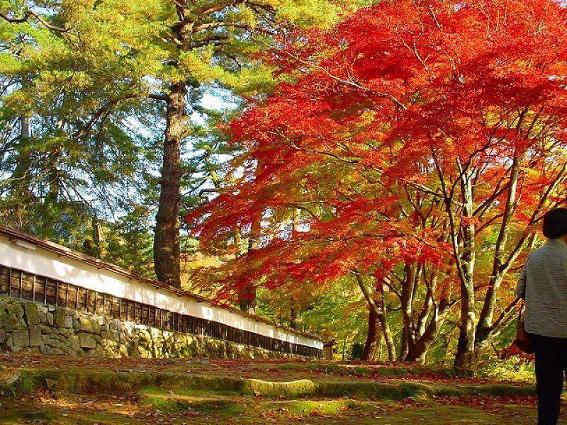 Tabist Hana Hotel Takinoya Aizu-Yanaizu Dış mekan fotoğraf